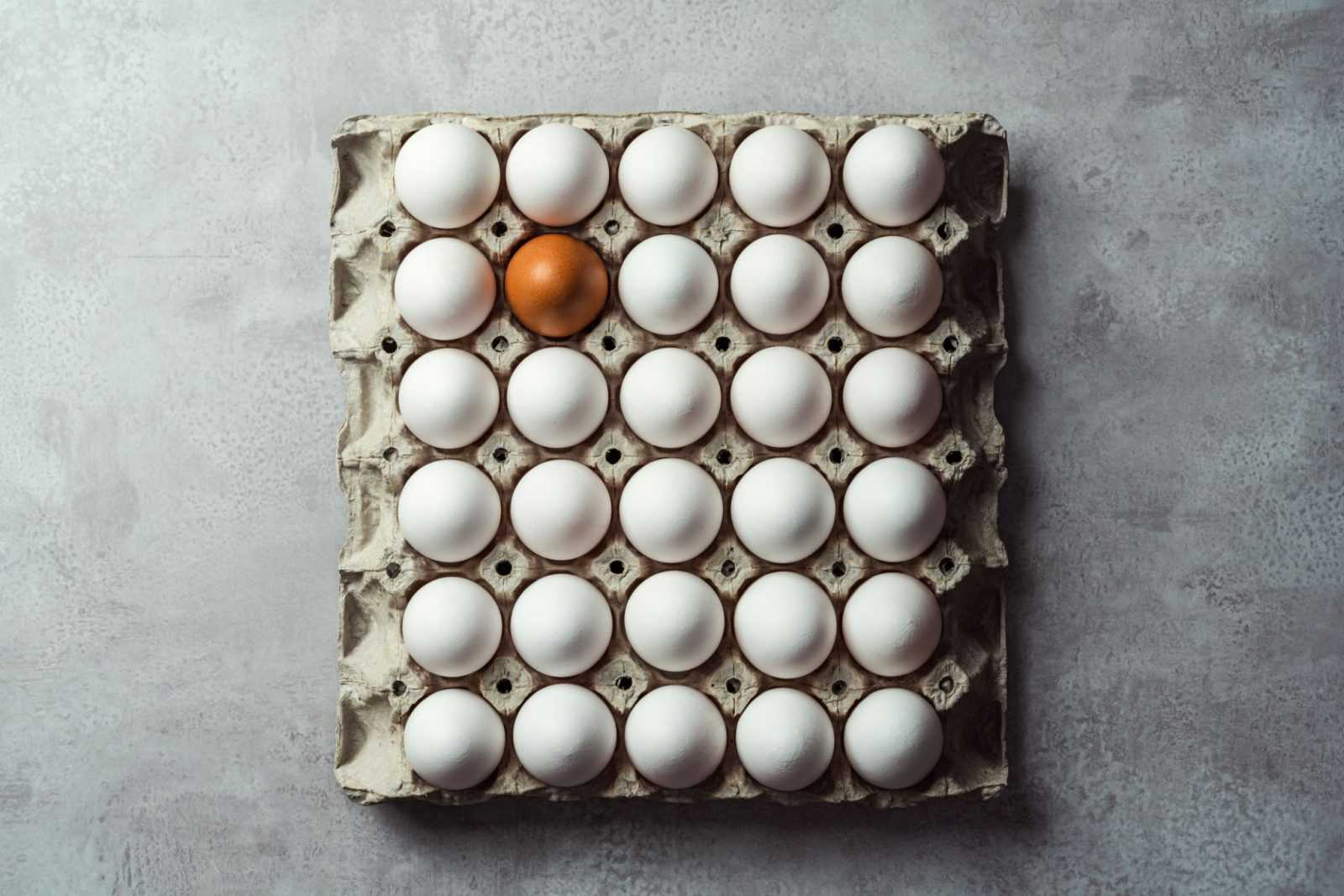 Хранение куриных яиц и их увлажнение