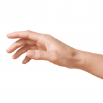 Кости рук