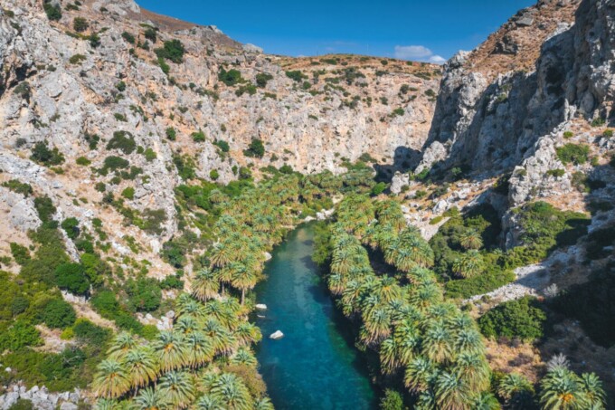 пальмовый лес панорама Крит пальмовый лес панорама Крит